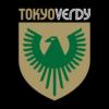 東京綠茵